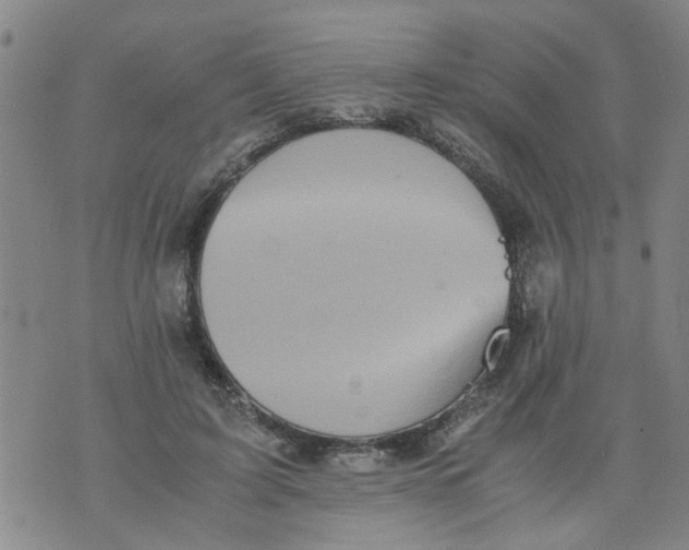 X0000075870595200610062005