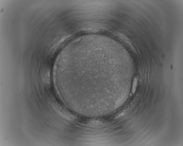 X0000075870596200610062004