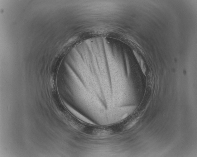 X0000075870597200610062004