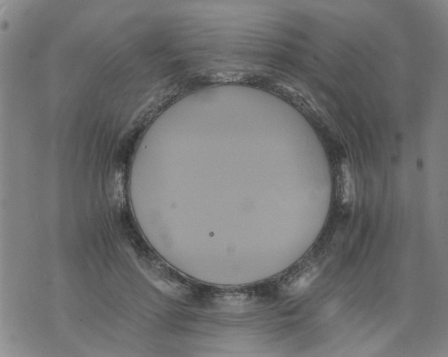 X0000075870598200610062004