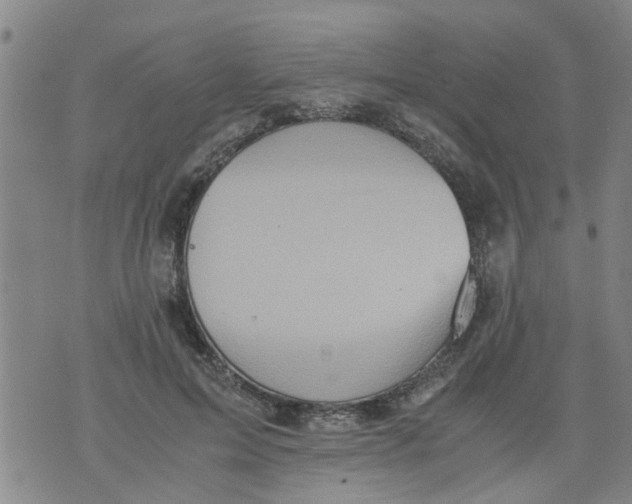 X0000075870599200610062004