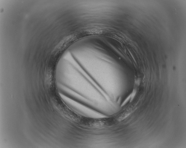 X0000075870600200610062004