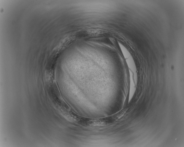 X0000075870601200610062004