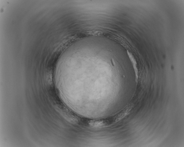 X0000075870602200610062004