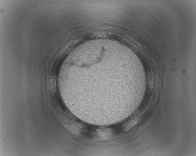 X0000075870603200610062004