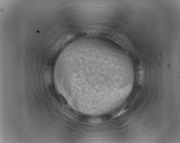 X0000075870604200610062004