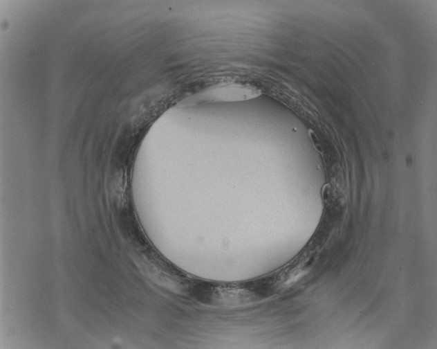 X0000075870605200610062004