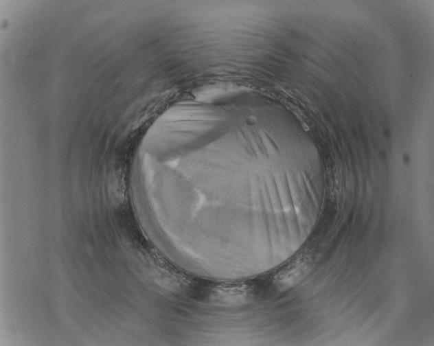 X0000075870606200610062004