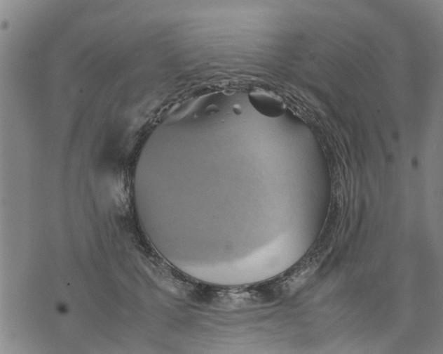 X0000075870607200610062004