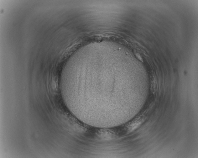 X0000075870608200610062004