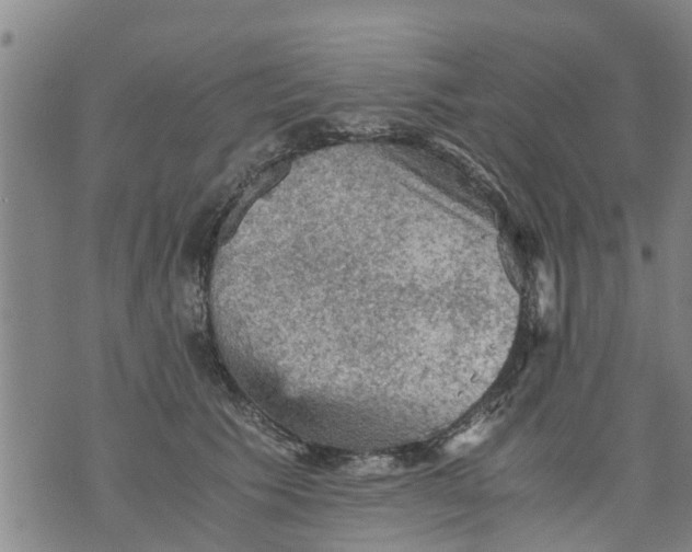 X0000075870609200610062004