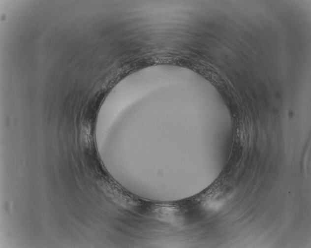 X0000075870610200610062004