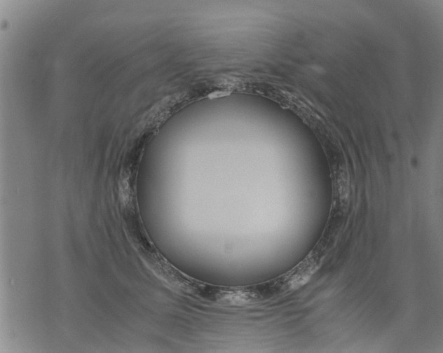 X0000075870611200610062004