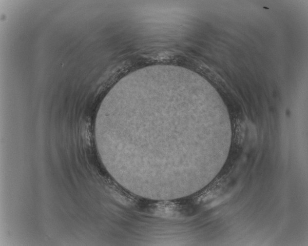 X0000075870612200610062004