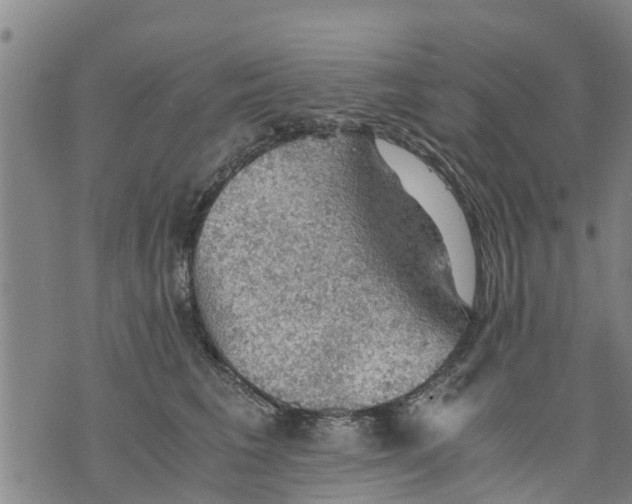 X0000075870613200610062004