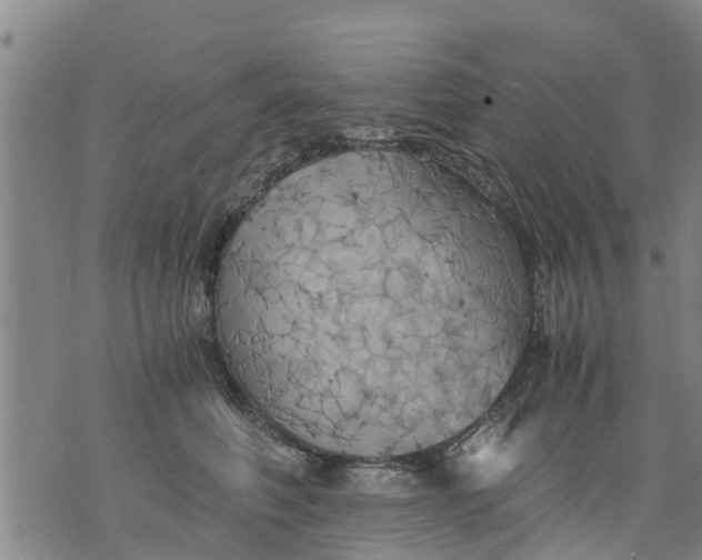 X0000075870614200610062004