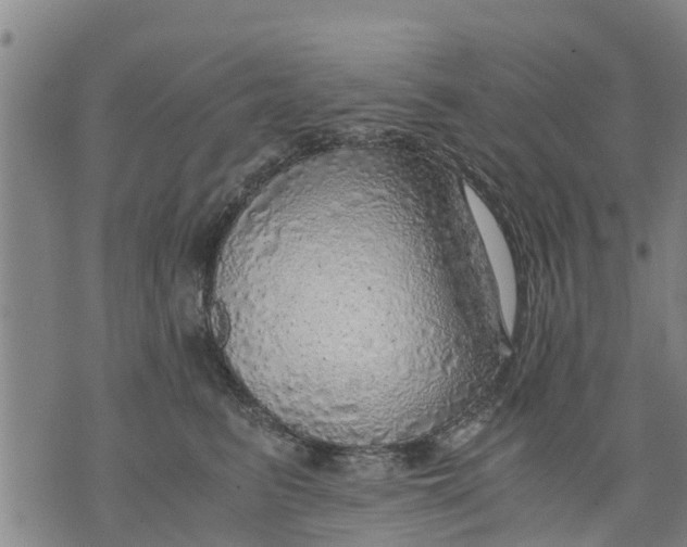 X0000075870615200610062004