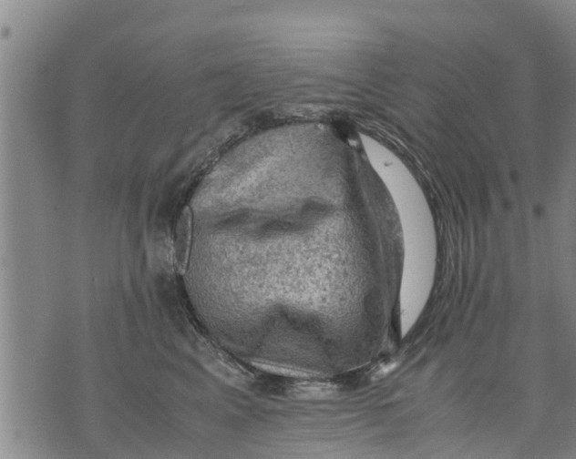 X0000075870617200610062004