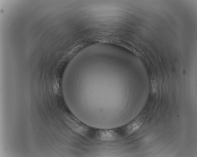 X0000075870618200610062004