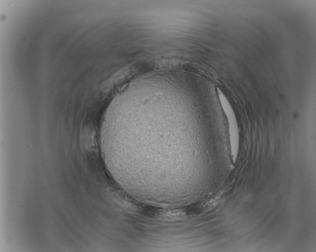 X0000075870619200610062004