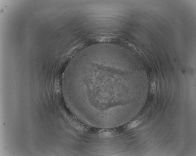 X0000075870620200610062004