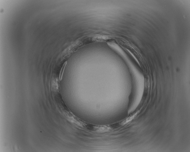 X0000075870621200610062004