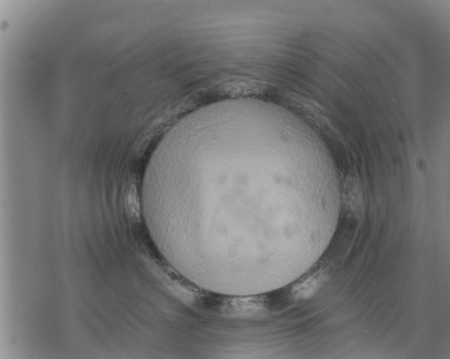 X0000075870622200610062004