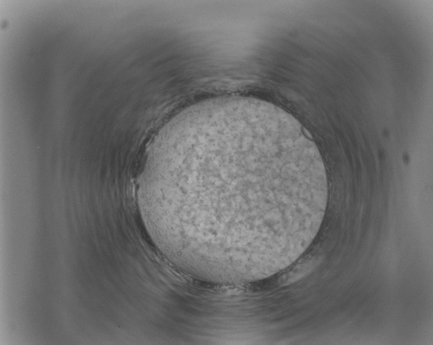 X0000075870624200610062004