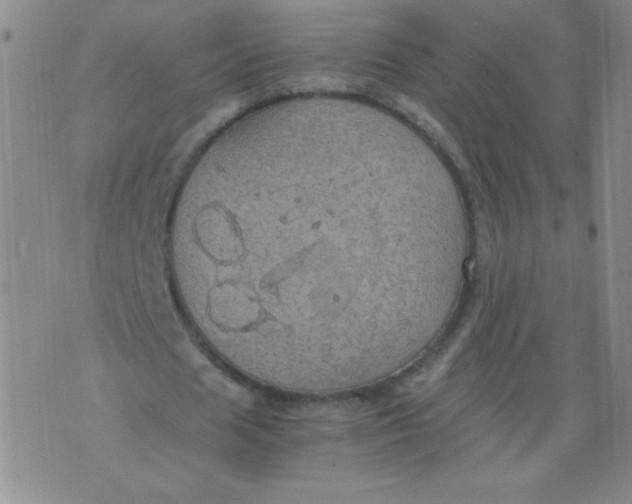 X0000075870625200610062003