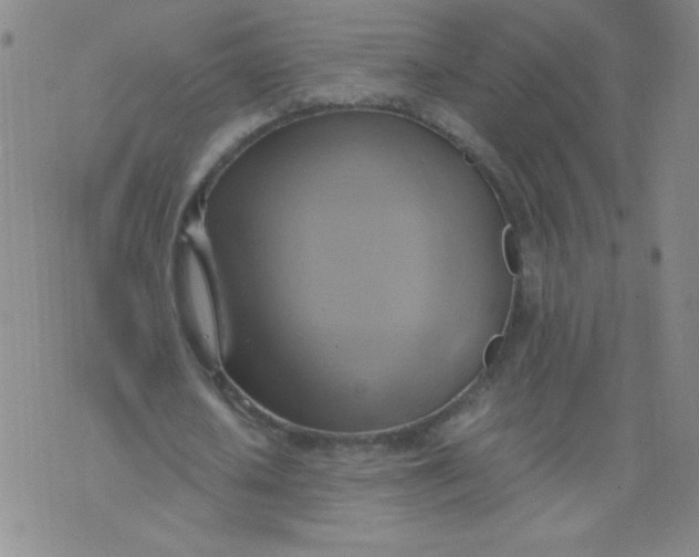 X0000075870626200610062003