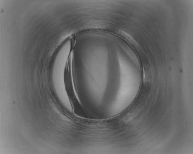 X0000075870627200610062003