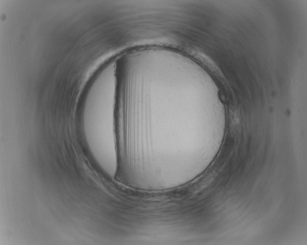 X0000075870628200610062003