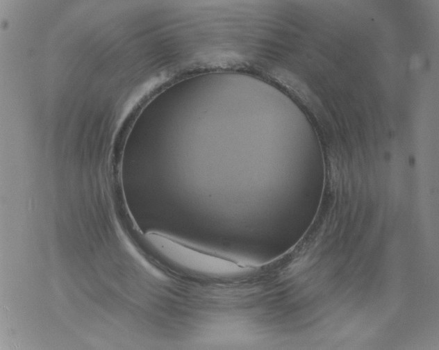 X0000075870630200610062003