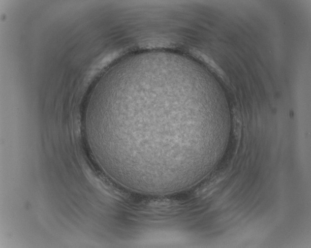 X0000075870631200610062003