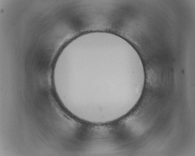 X0000075870632200610062003