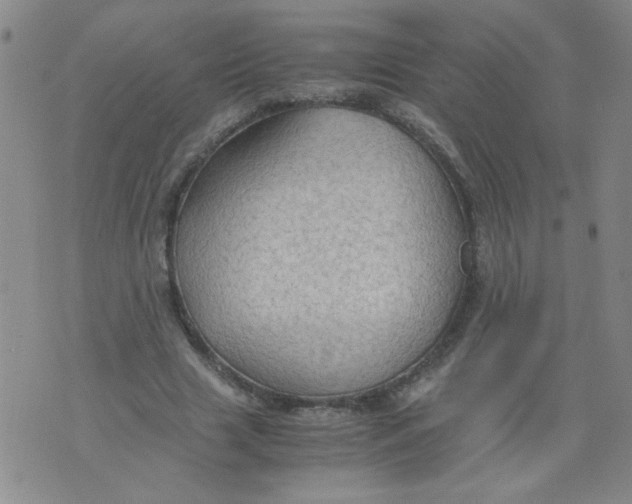 X0000075870633200610062003