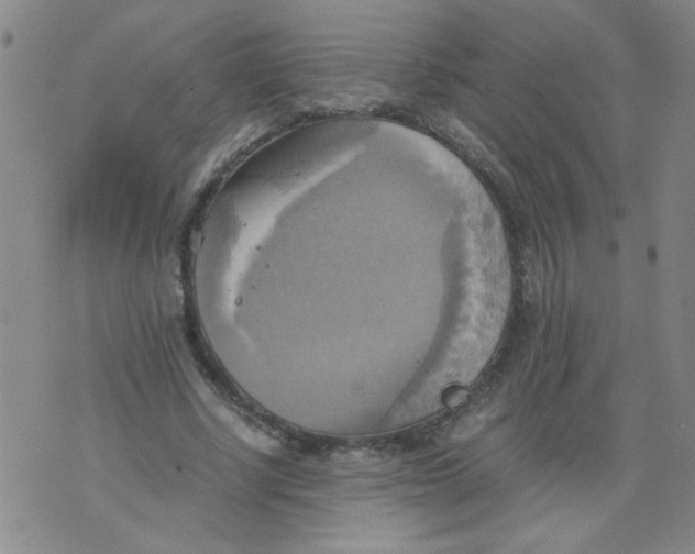 X0000075870634200610062003