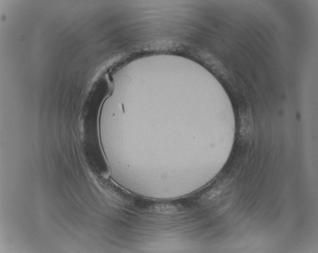 X0000075870636200610062003