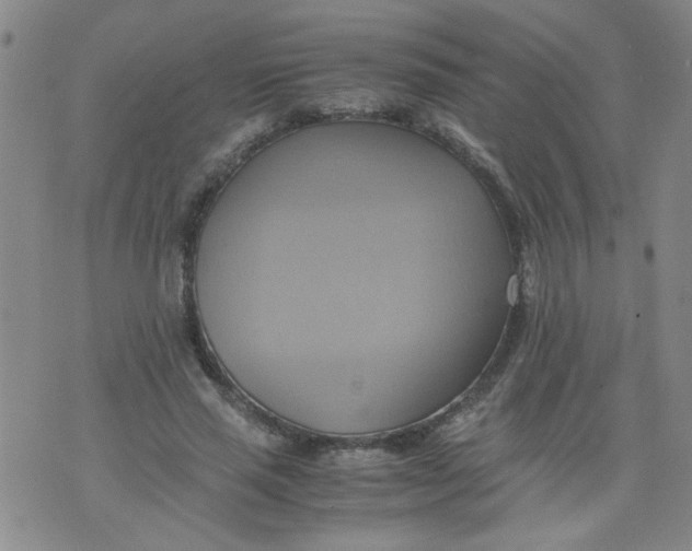 X0000075870637200610062003