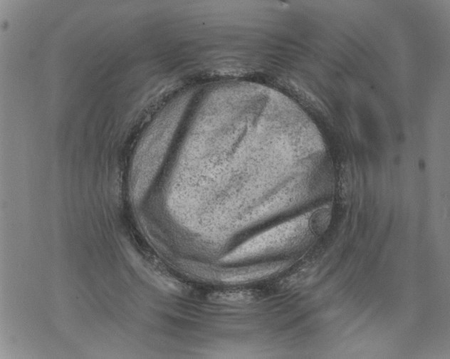 X0000075870639200610062003