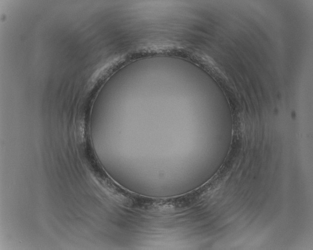 X0000075870640200610062004