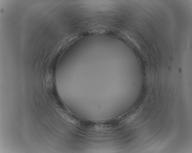 X0000075870641200610062004