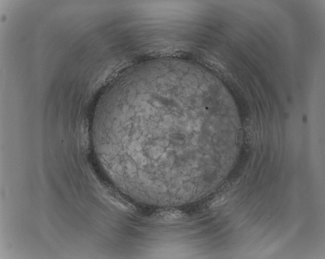 X0000075870642200610062004