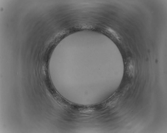 X0000075870643200610062004