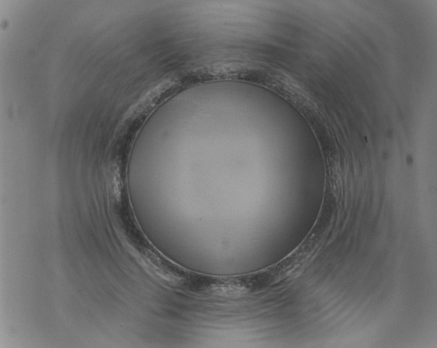 X0000075870644200610062004