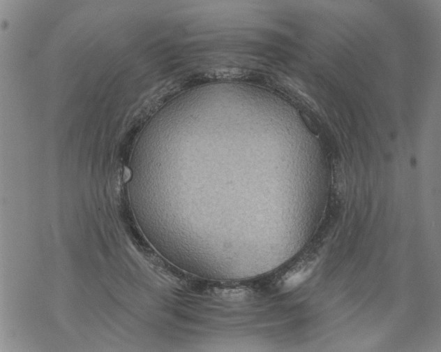 X0000075870645200610062004