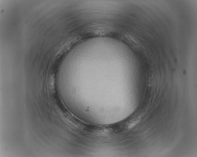 X0000075870646200610062004