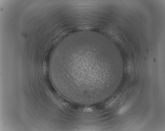 X0000075870647200610062004