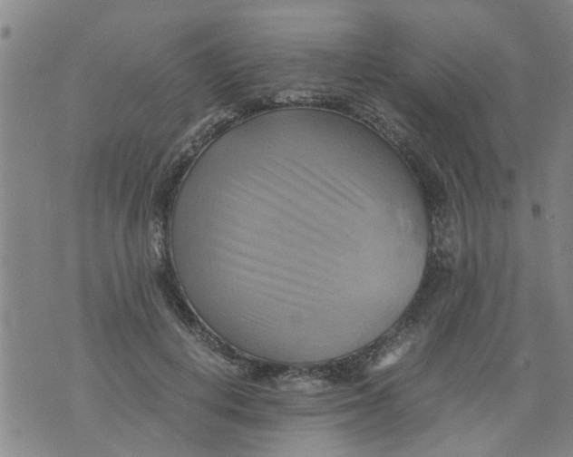 X0000075870648200610062004