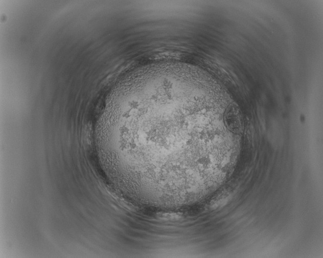 X0000075870649200610062004